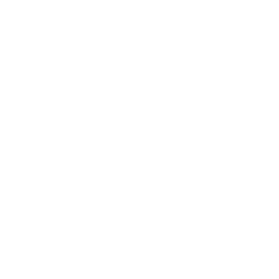 enfoque a la seguridad